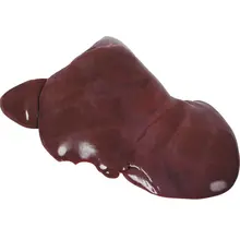 Model.ImageAlt